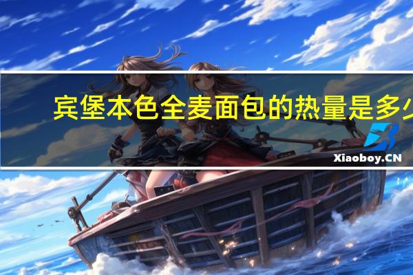 宾堡 本色全麦面包的热量是多少