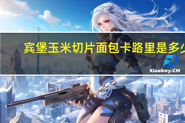 宾堡 玉米切片面包卡路里是多少