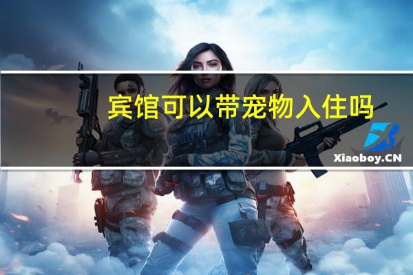 宾馆可以带宠物入住吗
