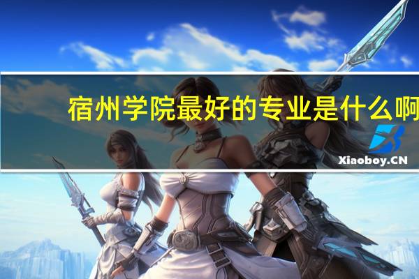 宿州学院最好的专业是什么啊