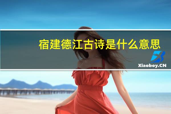 宿建德江古诗是什么意思