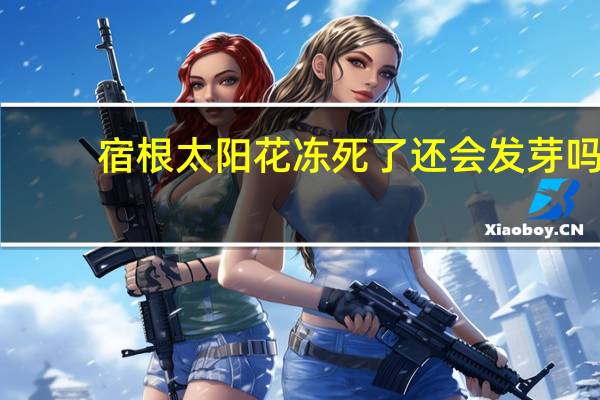 宿根太阳花冻死了还会发芽吗