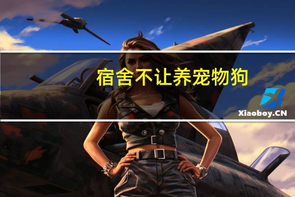 宿舍不让养宠物狗