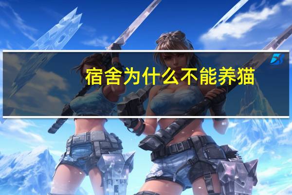 宿舍为什么不能养猫