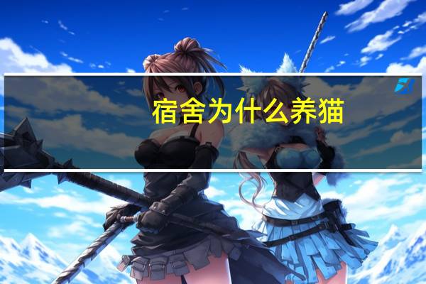 宿舍为什么养猫