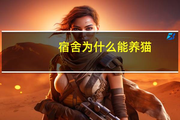 宿舍为什么能养猫