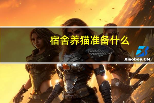 宿舍养猫准备什么