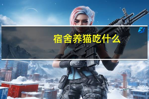 宿舍养猫吃什么