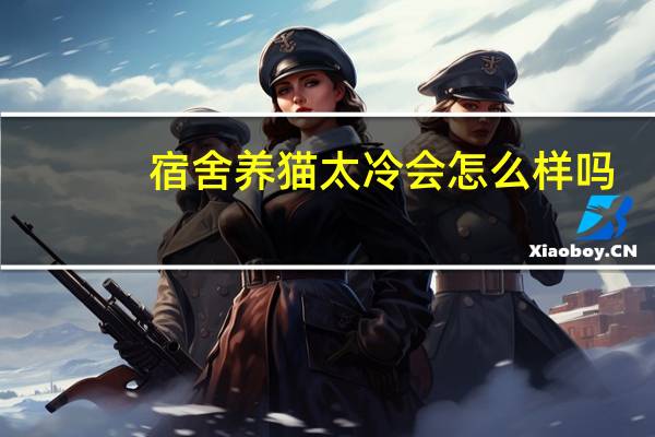 宿舍养猫太冷会怎么样吗