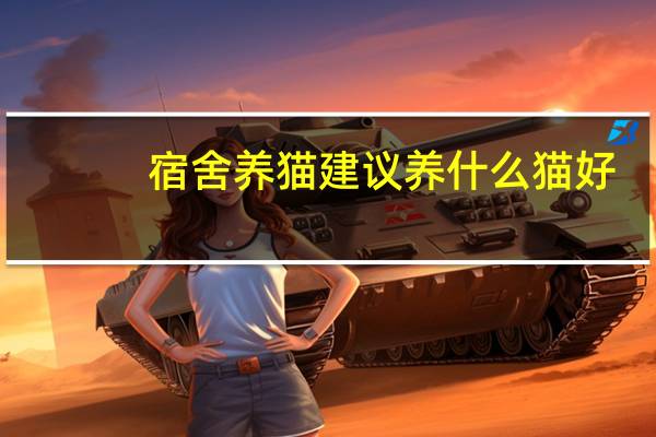 宿舍养猫建议养什么猫好