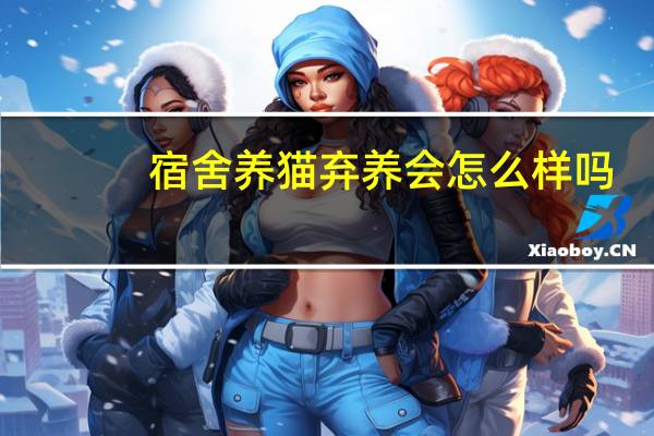 宿舍养猫弃养会怎么样吗