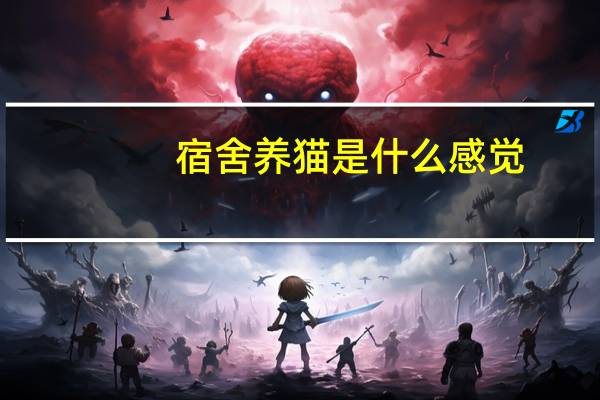宿舍养猫是什么感觉