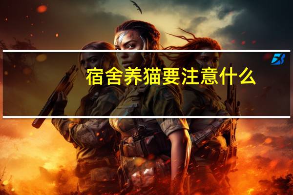 宿舍养猫要注意什么