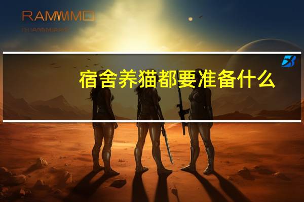 宿舍养猫都要准备什么