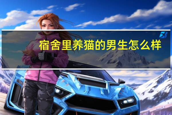 宿舍里养猫的男生怎么样