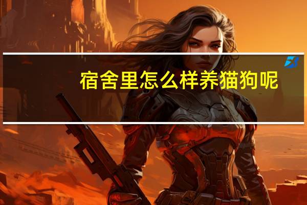 宿舍里怎么样养猫狗呢