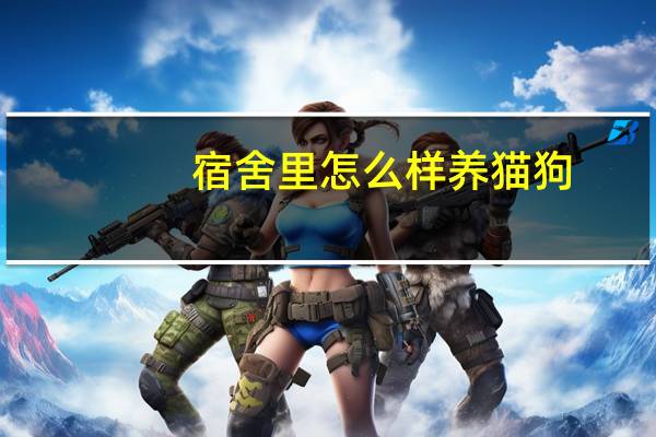 宿舍里怎么样养猫狗