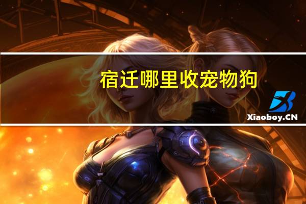 宿迁哪里收宠物狗