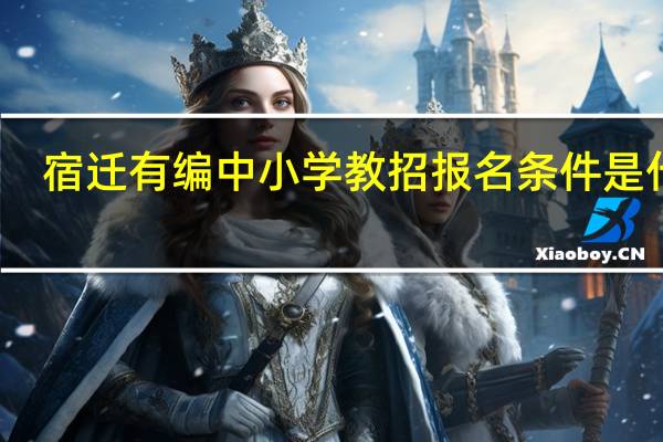 宿迁有编中小学教招报名条件是什么