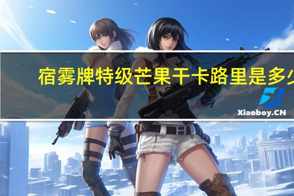宿雾 牌 特级芒果干卡路里是多少