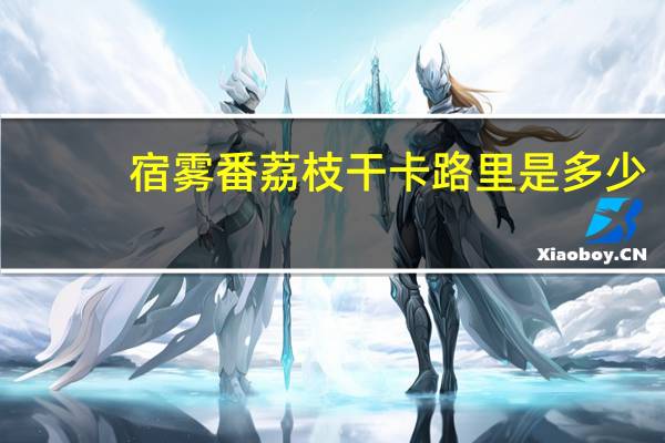 宿雾 番荔枝干卡路里是多少