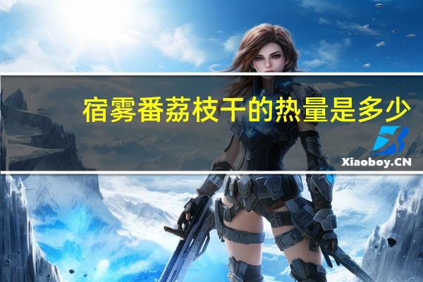 宿雾 番荔枝干的热量是多少