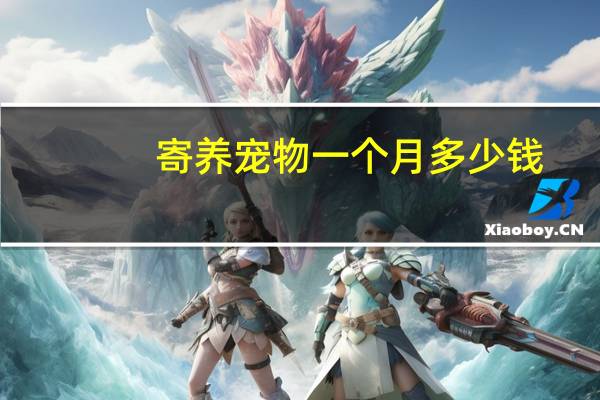 寄养宠物一个月多少钱