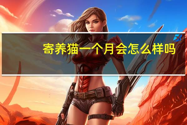 寄养猫一个月会怎么样吗