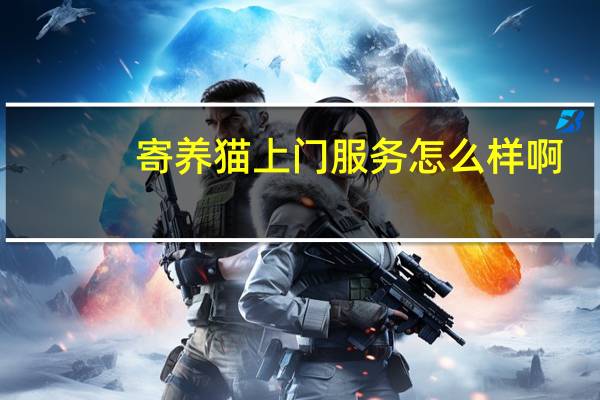 寄养猫上门服务怎么样啊