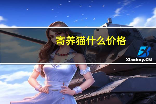寄养猫什么价格