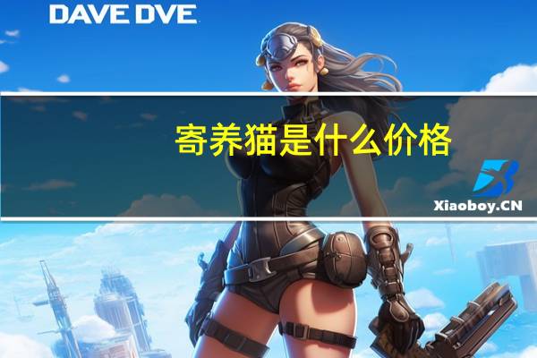 寄养猫是什么价格