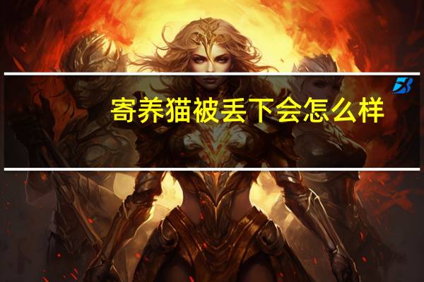 寄养猫被丢下会怎么样
