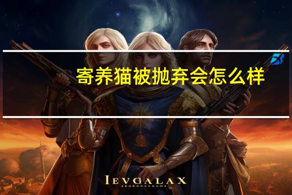 寄养猫被抛弃会怎么样