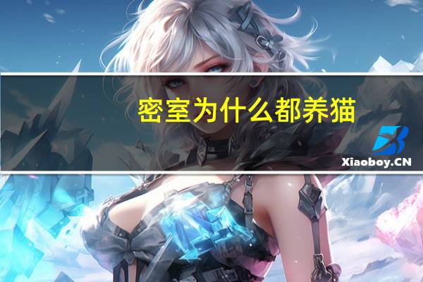 密室为什么都养猫