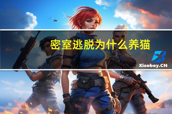 密室逃脱为什么养猫