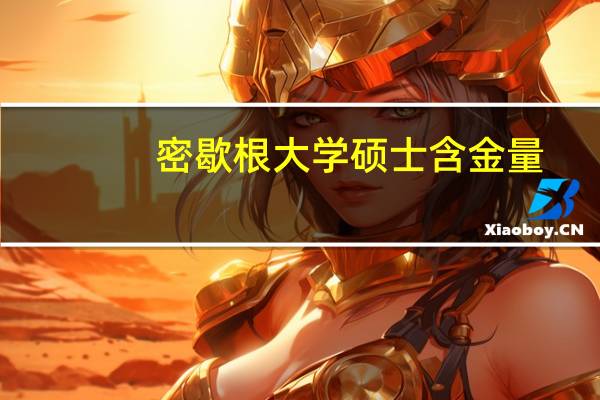 密歇根大学硕士含金量