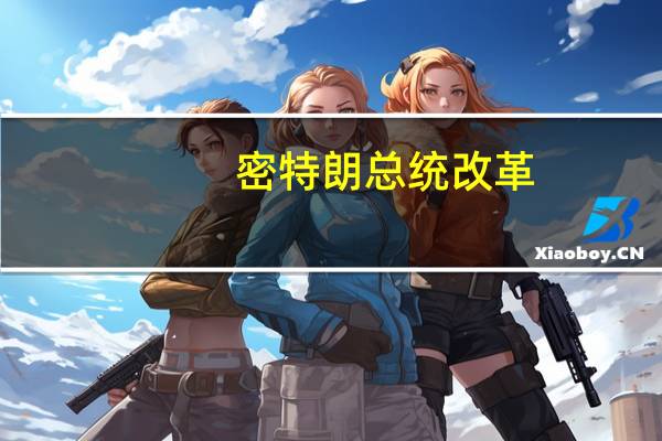 密特朗总统改革（密特朗总统简介）