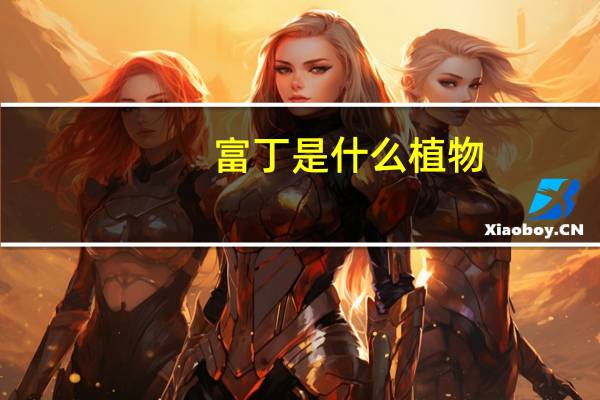 富丁是什么植物
