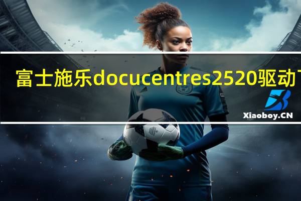 富士施乐docucentres2520驱动下载（富士施乐DocuCentre3007简介）