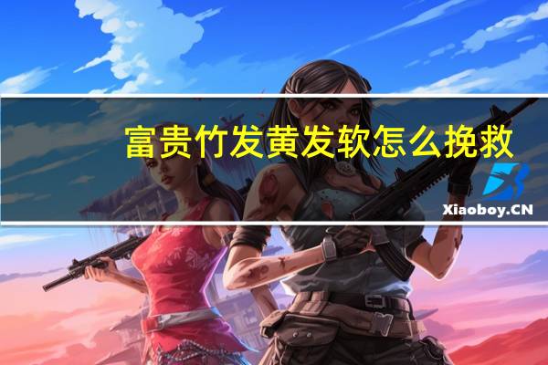 富贵竹发黄发软怎么挽救