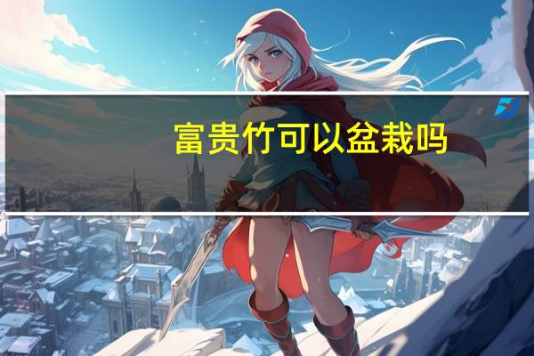 富贵竹可以盆栽吗