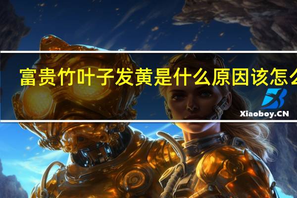 富贵竹叶子发黄是什么原因该怎么办