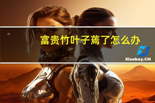 富贵竹叶子蔫了怎么办