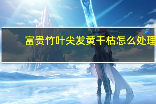富贵竹叶尖发黄干枯怎么处理