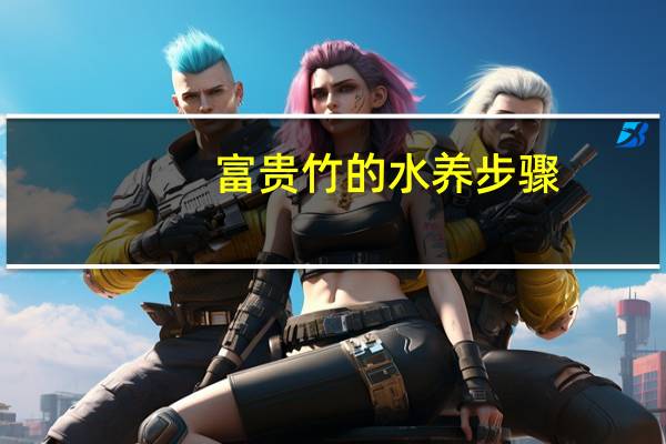富贵竹的水养步骤