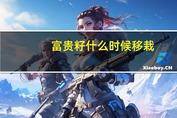 富贵籽什么时候移栽