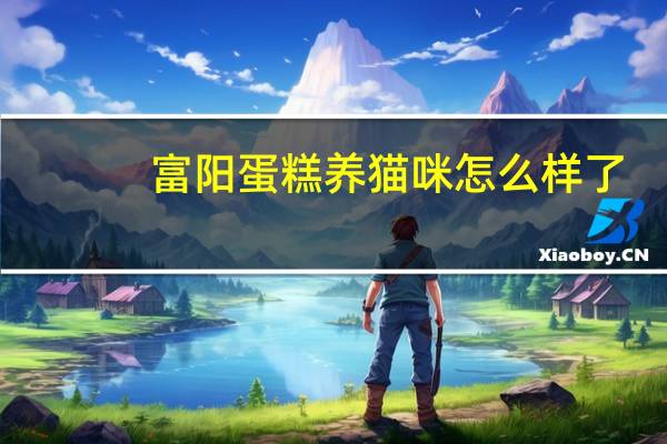 富阳蛋糕养猫咪怎么样了