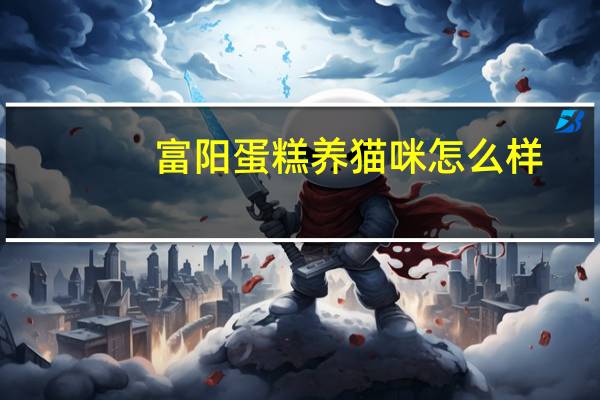 富阳蛋糕养猫咪怎么样