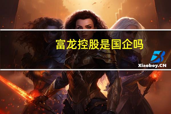 富龙控股是国企吗
