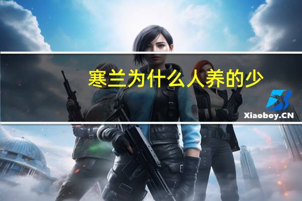 寒兰为什么人养的少